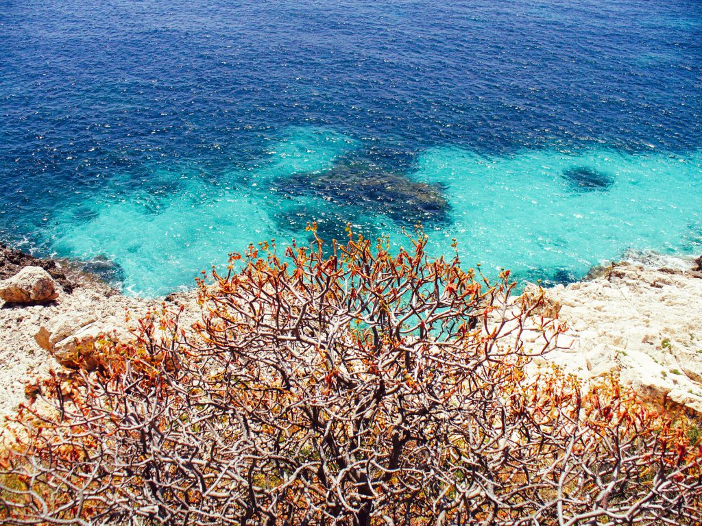 Il mare di Levanzo