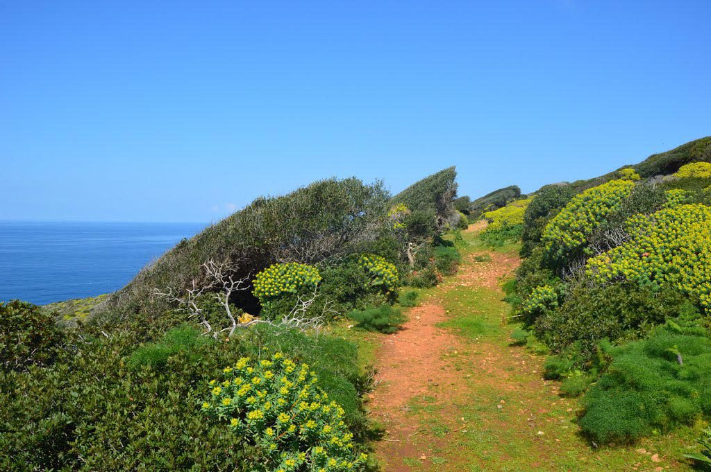 Sentiero per Cala Tramontana