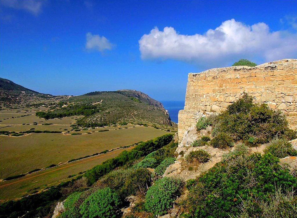 Torre saracena