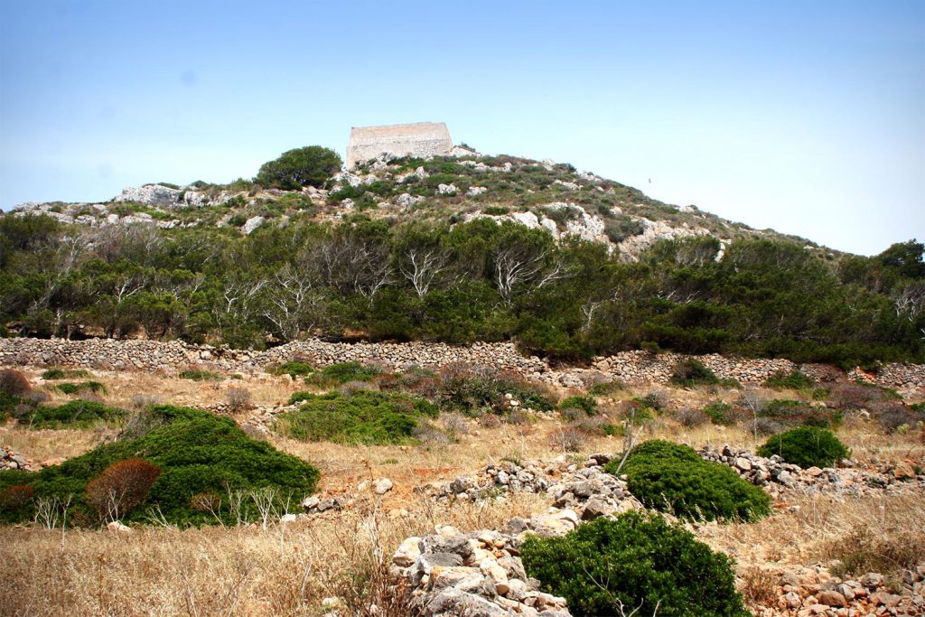 Torre saracena