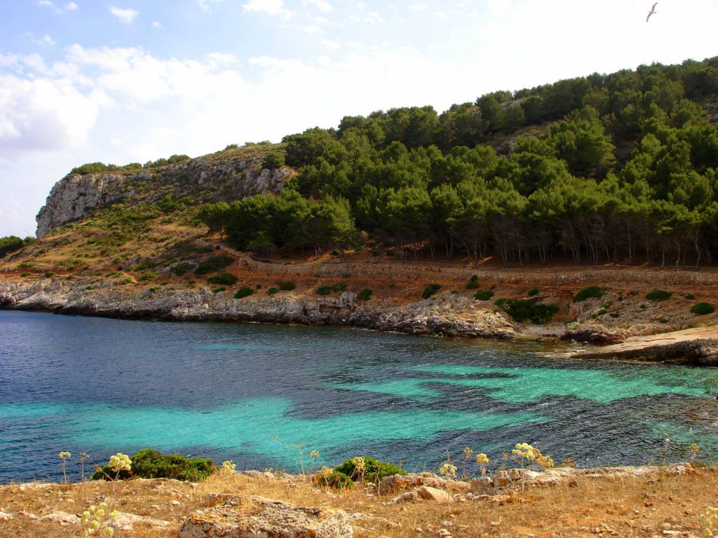 Cala Minnola