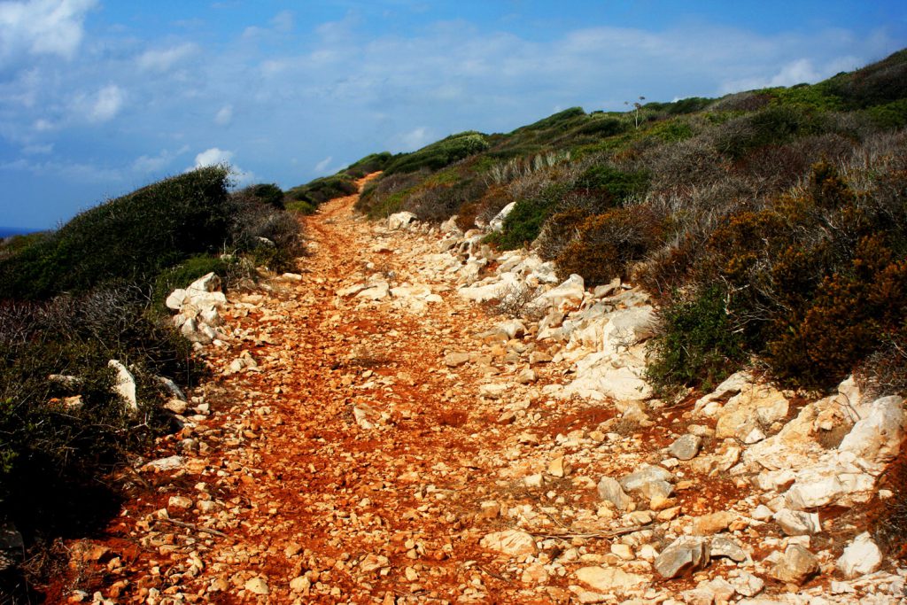 Cala Tramontana