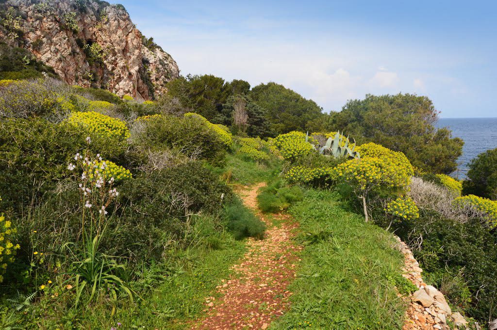 Verso Cala Minnola